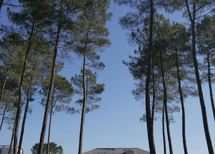 Kyriad Direct Mont De Marsan - St Avit